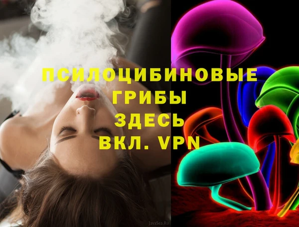 ГАЛЛЮЦИНОГЕННЫЕ ГРИБЫ Балахна