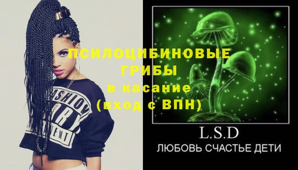 ГАЛЛЮЦИНОГЕННЫЕ ГРИБЫ Балахна