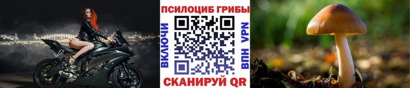 Псилоцибиновые грибы Magic Shrooms Нижнеудинск