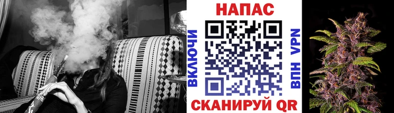 Канабис семена  продажа наркотиков  Нижнеудинск 